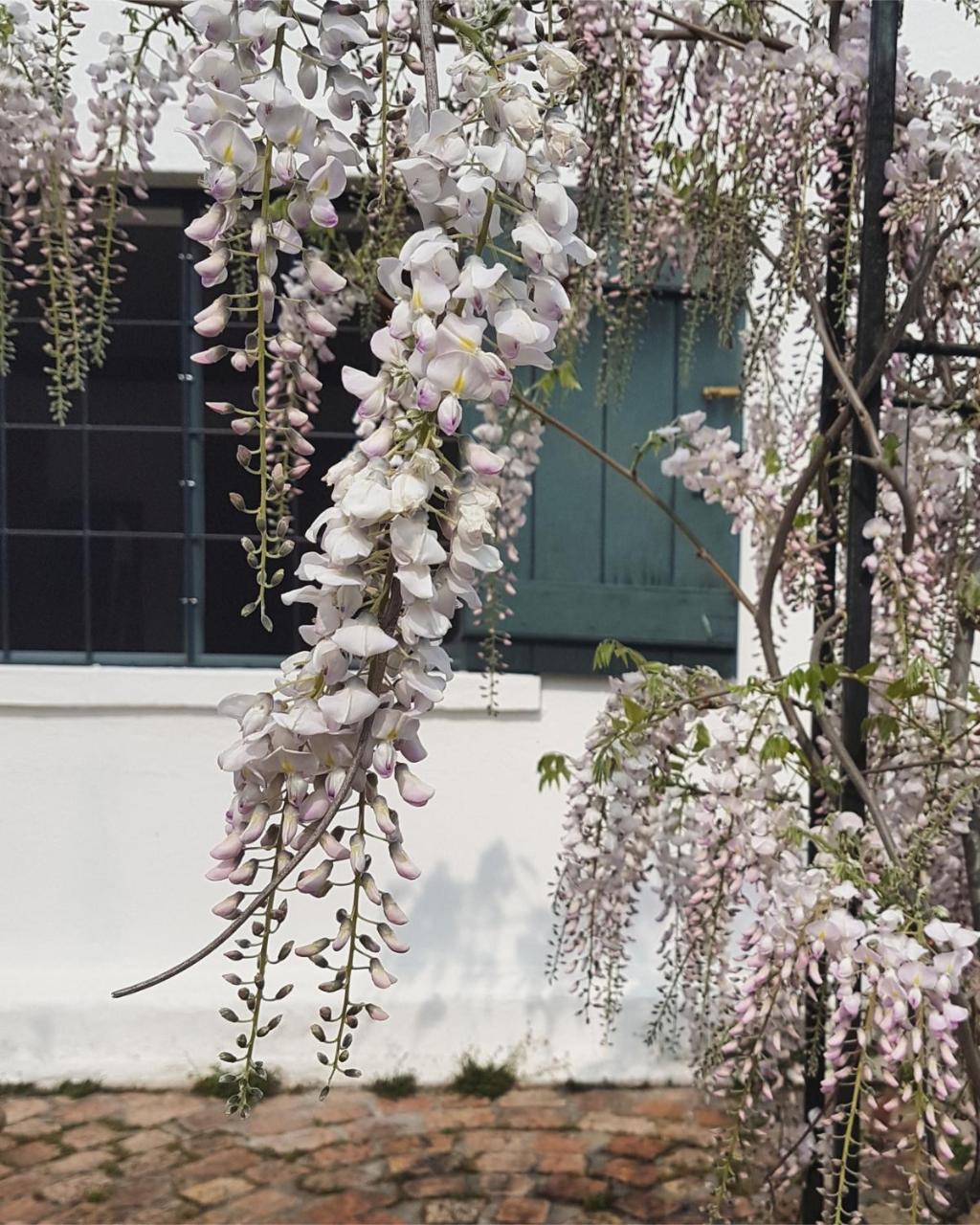 Wildekrans Country House Botrivier Exterior foto